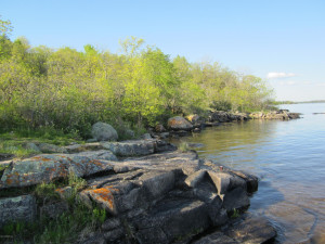 Photo for 0 Flag Island, Angle Inlet, MN 56711 - Listing #5586533 0 Flag Island, Angle Inlet, MN 56711