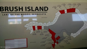 Photo for Brush Island, MN 56711 - Listing #5586556 Brush Island, MN 56711