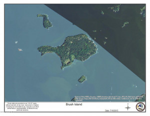 Photo for Brush Island, MN 56711 - Listing #5586568 Brush Island, MN 56711