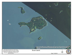 Photo for Brush Island, MN 56711 - Listing #5586585 Brush Island, MN 56711