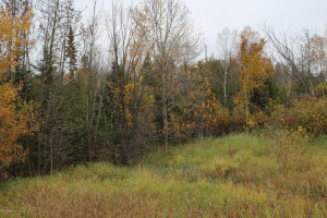 Photo for TBD roosevelt Road SE, Bemidji, MN 56601 - Listing #5586858 TBD roosevelt Road SE, Bemidji, MN 56601