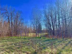 Photo for 1422 State Hwy. 11 Highway SE, Baudette, MN 56623 - Listing #5587342 1422 State Hwy. 11 Highway SE, Baudette, MN 56623