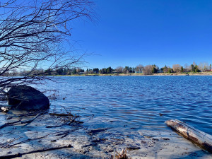 Photo for 1422 State Hwy. 11 Highway SE, Baudette, MN 56623 - Listing #5587342 1422 State Hwy. 11 Highway SE, Baudette, MN 56623