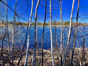 Photo for 1398 State Hwy. 11 Highway SE, Baudette, MN 56623 - Listing #5587343 1398 State Hwy. 11 Highway SE, Baudette, MN 56623