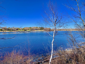Photo for 1398 State Hwy. 11 Highway SE, Baudette, MN 56623 - Listing #5587343 1398 State Hwy. 11 Highway SE, Baudette, MN 56623