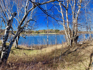 Photo for 1398 State Hwy. 11 Highway SE, Baudette, MN 56623 - Listing #5587343 1398 State Hwy. 11 Highway SE, Baudette, MN 56623