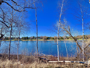 Photo for 1398 State Hwy. 11 Highway SE, Baudette, MN 56623 - Listing #5587343 1398 State Hwy. 11 Highway SE, Baudette, MN 56623