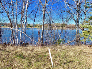Photo for 1398 State Hwy. 11 Highway SE, Baudette, MN 56623 - Listing #5587343 1398 State Hwy. 11 Highway SE, Baudette, MN 56623