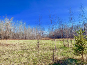 Photo for 1398 State Hwy. 11 Highway SE, Baudette, MN 56623 - Listing #5587343 1398 State Hwy. 11 Highway SE, Baudette, MN 56623