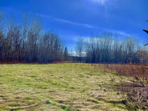 Photo for 1422 State Hwy. 11 Highway SE, Baudette, MN 56623 - Listing #5587342 1422 State Hwy. 11 Highway SE, Baudette, MN 56623