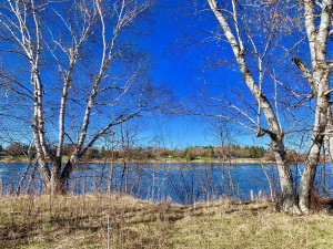 Photo for 1398 State Hwy. 11 Highway SE, Baudette, MN 56623 - Listing #5587343 1398 State Hwy. 11 Highway SE, Baudette, MN 56623