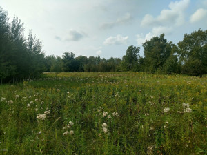 Photo for 1422 State Hwy. 11 Highway SE, Baudette, MN 56623 - Listing #5587342 1422 State Hwy. 11 Highway SE, Baudette, MN 56623
