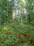 Photo for 1422 State Hwy. 11 Highway SE, Baudette, MN 56623 - Listing #5587342 1422 State Hwy. 11 Highway SE, Baudette, MN 56623