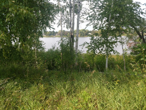 Photo for 1422 State Hwy. 11 Highway SE, Baudette, MN 56623 - Listing #5587342 1422 State Hwy. 11 Highway SE, Baudette, MN 56623