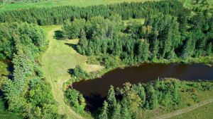 Photo for TBD 14th Avenue NW, Baudette, MN 56623 - Listing #5589626 TBD 14th Avenue NW, Baudette, MN 56623