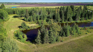 Photo for TBD 14th Avenue NW, Baudette, MN 56623 - Listing #5589626 TBD 14th Avenue NW, Baudette, MN 56623