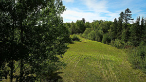 Photo for TBD 14th Avenue NW, Baudette, MN 56623 - Listing #5589626 TBD 14th Avenue NW, Baudette, MN 56623