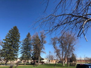 Photo for 209 Duluth Avenue N, Thief River Falls, MN 56701 - Listing #5594030 209 Duluth Avenue N, Thief River Falls, MN 56701