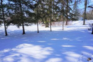 Photo for 709 11th Avenue SE, Roseau, MN 56751 - Listing #5594293 709 11th Avenue SE, Roseau, MN 56751