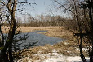 Photo for 6682 40th Street NW, Williams, MN 56686 - Listing #5595077 6682 40th Street NW, Williams, MN 56686