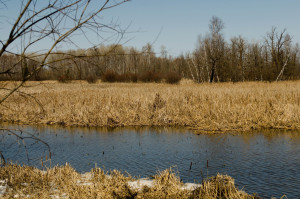 Photo for 6682 40th Street NW, Williams, MN 56686 - Listing #5595077 6682 40th Street NW, Williams, MN 56686