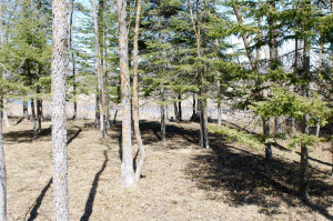 Photo for 6682 40th Street NW, Williams, MN 56686 - Listing #5595077 6682 40th Street NW, Williams, MN 56686