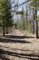 Photo for 6682 40th Street NW, Williams, MN 56686 - Listing #5595077 6682 40th Street NW, Williams, MN 56686
