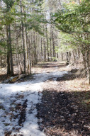 Photo for 6682 40th Street NW, Williams, MN 56686 - Listing #5595077 6682 40th Street NW, Williams, MN 56686