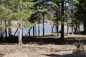 Photo for 6682 40th Street NW, Williams, MN 56686 - Listing #5595077 6682 40th Street NW, Williams, MN 56686