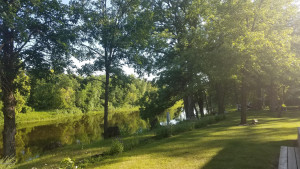 Photo for 12771 120th Street NE, Thief River Falls, MN 56701 - Listing #5595313 12771 120th Street NE, Thief River Falls, MN 56701
