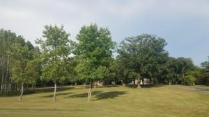 Photo for 12771 120th Street NE, Thief River Falls, MN 56701 - Listing #5595313 12771 120th Street NE, Thief River Falls, MN 56701