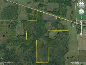Photo for 4305 State 11 Highway, Williams, MN 56686 - Listing #5595553 4305 State 11 Highway, Williams, MN 56686