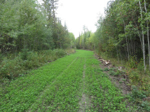 Photo for 4305 State 11 Highway, Williams, MN 56686 - Listing #5595553 4305 State 11 Highway, Williams, MN 56686