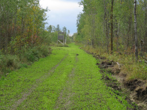 Photo for 4305 State 11 Highway, Williams, MN 56686 - Listing #5595553 4305 State 11 Highway, Williams, MN 56686