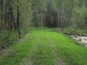 Photo for 4305 State 11 Highway, Williams, MN 56686 - Listing #5595553 4305 State 11 Highway, Williams, MN 56686