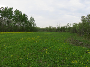 Photo for 4305 State 11 Highway, Williams, MN 56686 - Listing #5595553 4305 State 11 Highway, Williams, MN 56686