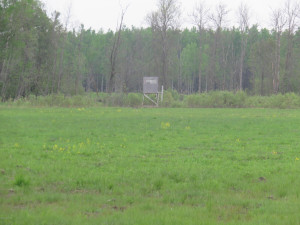 Photo for 4305 State 11 Highway, Williams, MN 56686 - Listing #5595553 4305 State 11 Highway, Williams, MN 56686