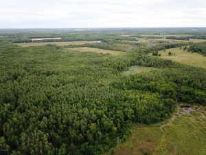 Photo for 4305 State 11 Highway, Williams, MN 56686 - Listing #5595553 4305 State 11 Highway, Williams, MN 56686