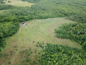 Photo for 4305 State 11 Highway, Williams, MN 56686 - Listing #5595553 4305 State 11 Highway, Williams, MN 56686