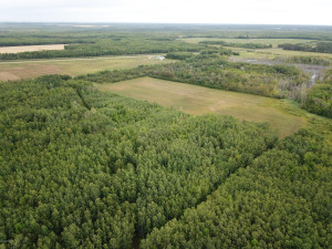 Photo for 4305 State 11 Highway, Williams, MN 56686 - Listing #5595553 4305 State 11 Highway, Williams, MN 56686