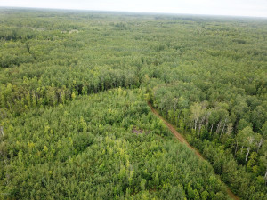 Photo for 4305 State 11 Highway, Williams, MN 56686 - Listing #5595553 4305 State 11 Highway, Williams, MN 56686