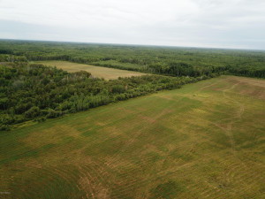 Photo for 4305 State 11 Highway, Williams, MN 56686 - Listing #5595553 4305 State 11 Highway, Williams, MN 56686