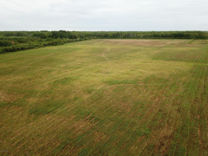 Photo for 4305 State 11 Highway, Williams, MN 56686 - Listing #5595553 4305 State 11 Highway, Williams, MN 56686