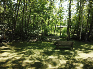 Photo for 9334 Yellow Birch Drive NW, Roosevelt, MN 56673 - Listing #5596329 9334 Yellow Birch Drive NW, Roosevelt, MN 56673