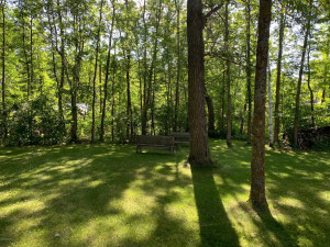 Photo for 9334 Yellow Birch Drive NW, Roosevelt, MN 56673 - Listing #5596329 9334 Yellow Birch Drive NW, Roosevelt, MN 56673