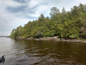 Photo for 1 Honeymoon Island, Angle Inlet, MN 56711 - Listing #5598780 1 Honeymoon Island, Angle Inlet, MN 56711