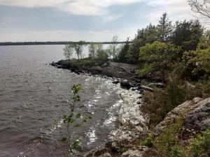 Photo for 1 Honeymoon Island, Angle Inlet, MN 56711 - Listing #5598780 1 Honeymoon Island, Angle Inlet, MN 56711