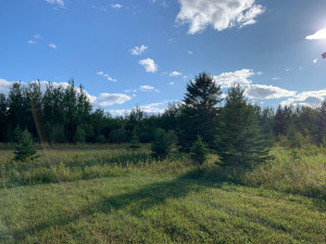 Photo for 1942 Town Rd. 117, Baudette, MN 56629 - Listing #5601344 1942 Town Rd. 117, Baudette, MN 56629