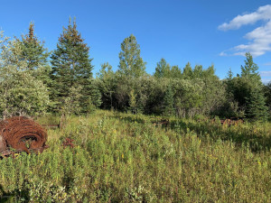 Photo for 1942 Town Rd. 117, Baudette, MN 56629 - Listing #5601344 1942 Town Rd. 117, Baudette, MN 56629