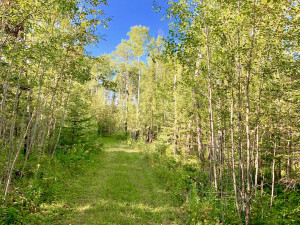 Photo for 1942 Town Rd. 117, Baudette, MN 56629 - Listing #5601344 1942 Town Rd. 117, Baudette, MN 56629